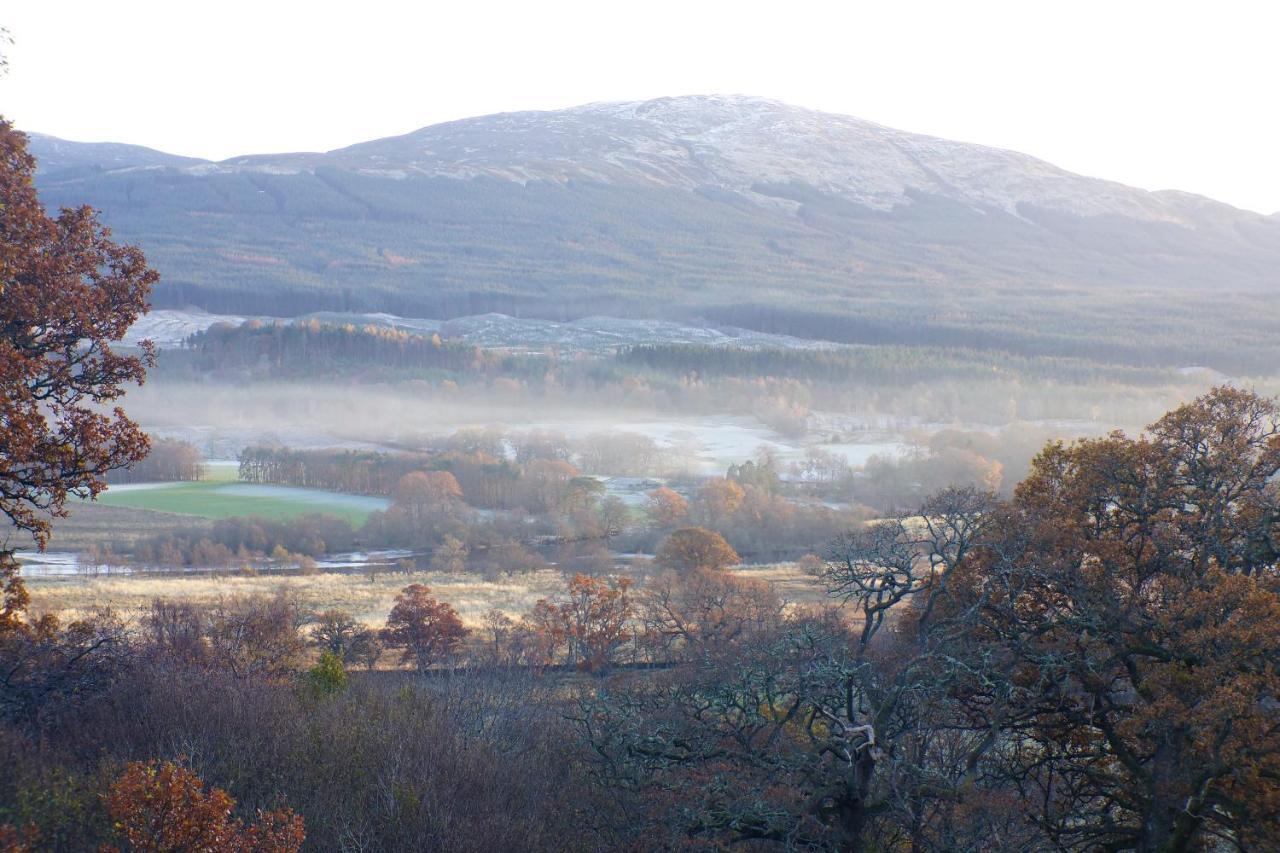 Woodland Chestnut Lodge