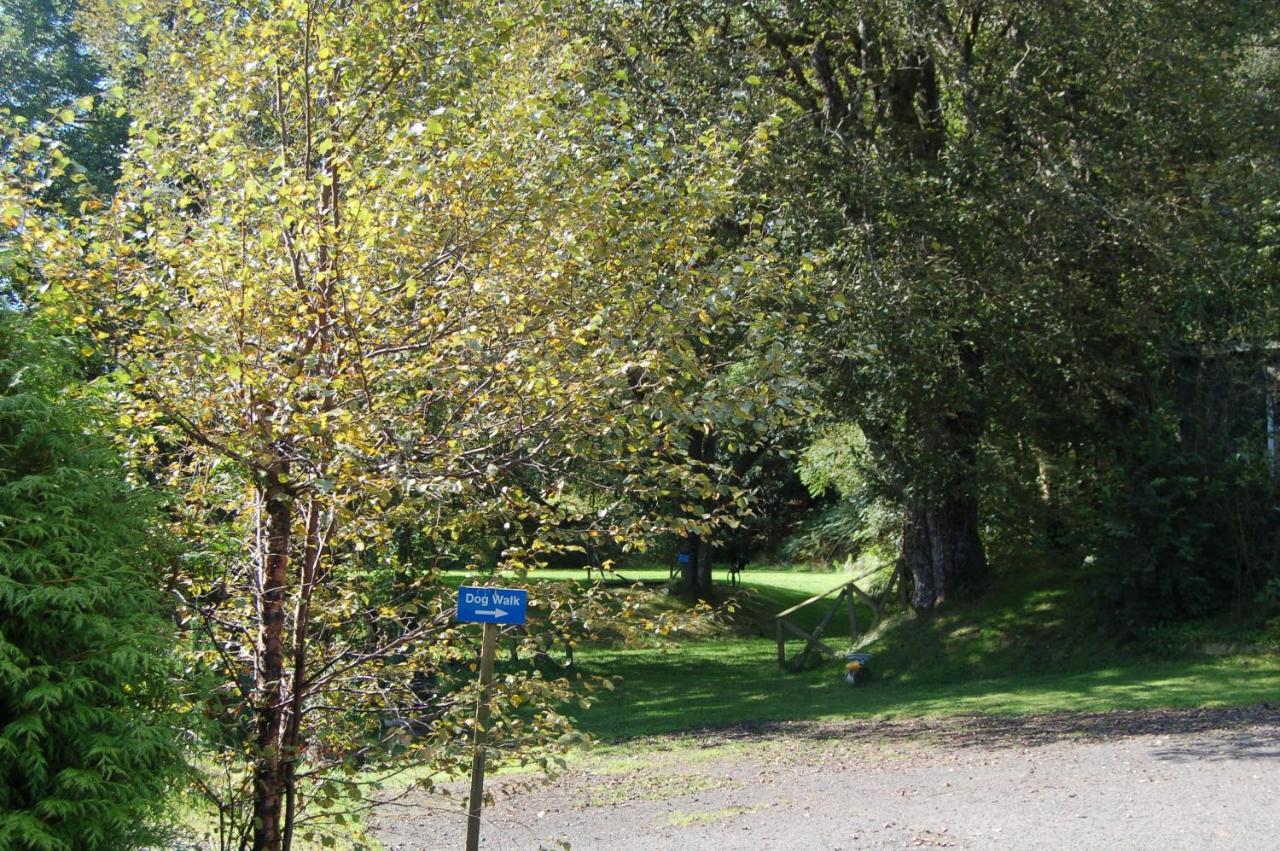 Lodge Woodland Chestnut *