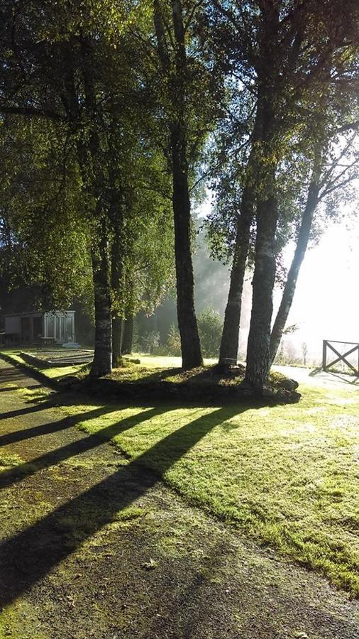Woodland Chestnut Lodge *